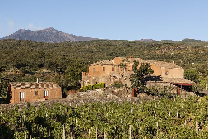 Private 6-Hour Tour of Three Etna Wineries with food&wine tasting - Food is not a side note