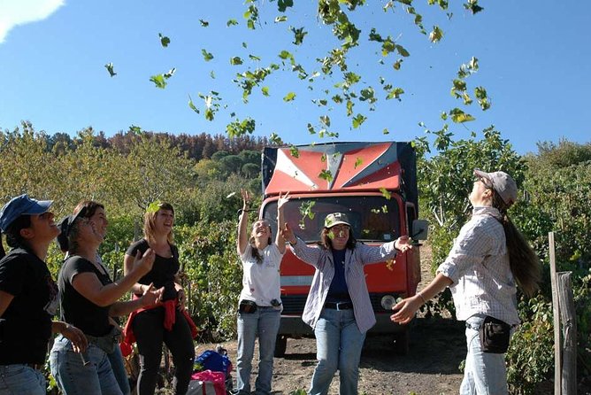 Private 6-Hour Tour of Three Etna Wineries with food&wine tasting - What the private format really adds