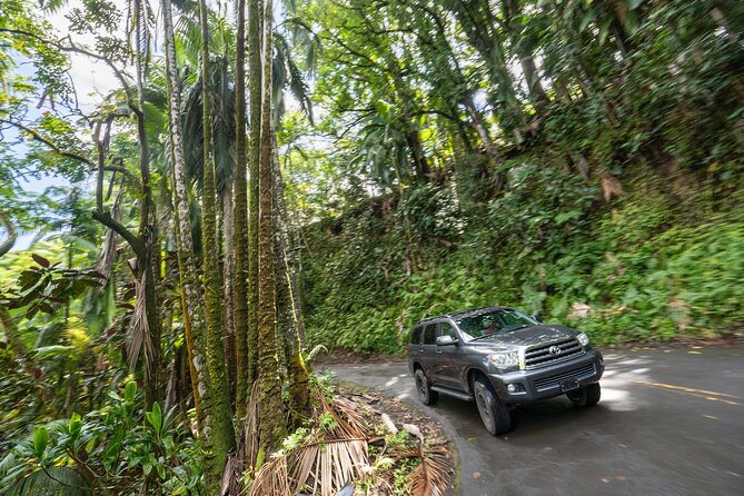 Private - All Inclusive Big Island Volcano & Waterfalls Tour - Walking through Thurston Lava Tube