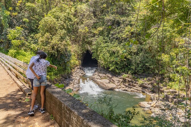 Private - All Inclusive Big Island Volcano & Waterfalls Tour - Extra park stops and the sunset crater view