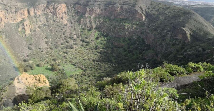 Private Bandama Caldera Volcano, Botanic Garden & Old Town - Bandama Caldera gives the tour its shape