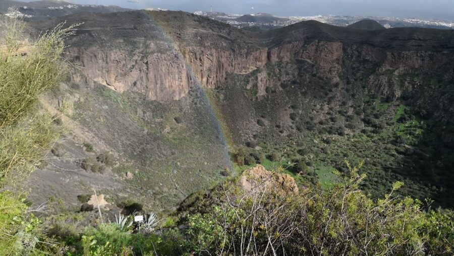 Private Bandama Caldera Volcano, Botanic Garden & Old Town - Is $124 per person good value?