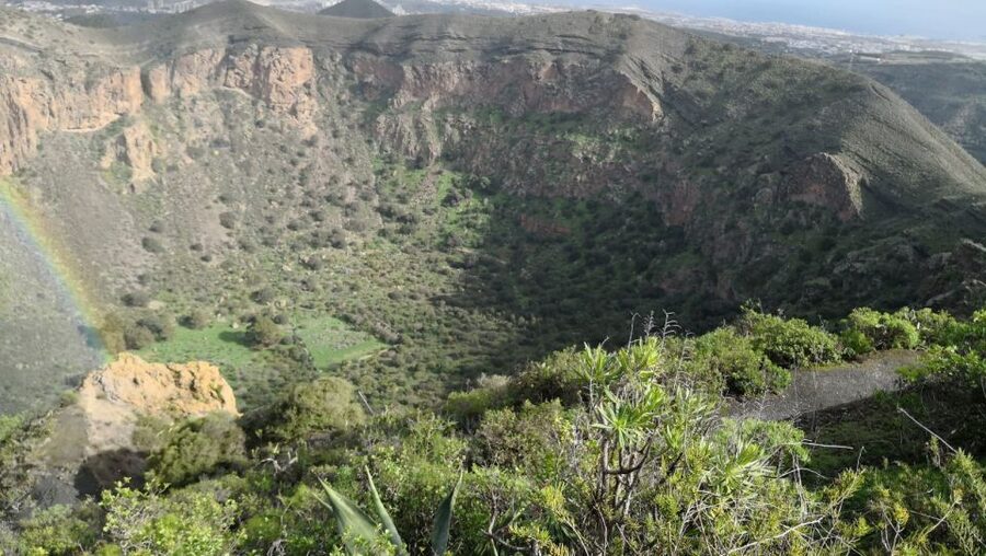Private Bandama Caldera Volcano, Botanic Garden & Old Town - Choose between plants and Canary wine