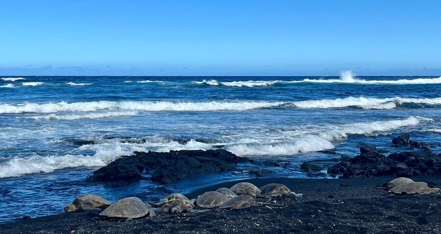 Private Big Island Tour:Coffee, Beaches,Volcanos & Waterfall - Punaluʻu Black Sand Beach and sea turtles