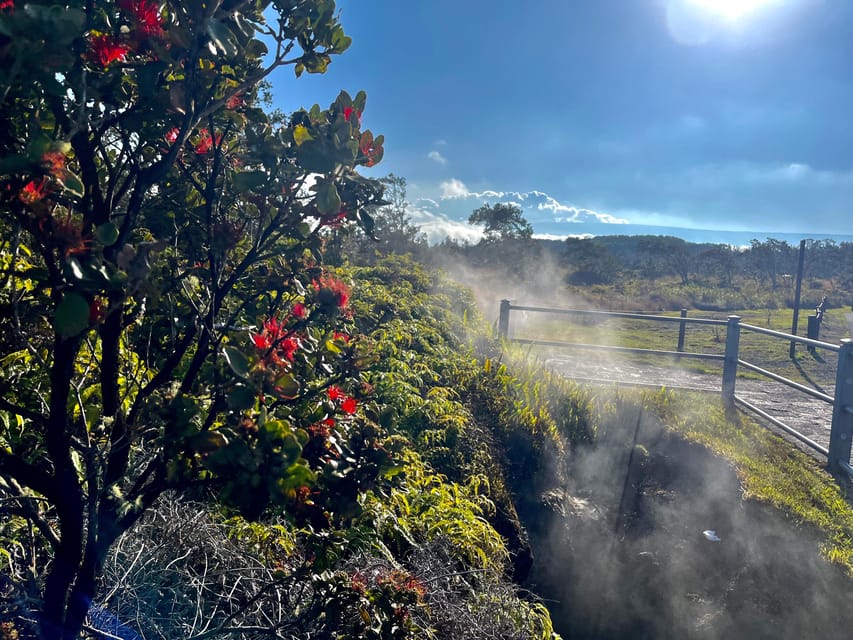 Private Big Island Tour:Coffee, Beaches,Volcanos & Waterfall - Who will enjoy this most