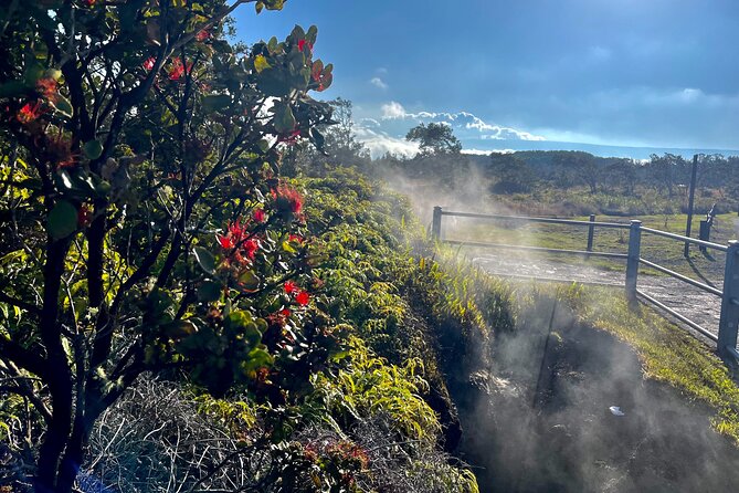 Private Big Island Tour: Coffee, Beaches, Volcanos, Waterfalls - Hilo adds gardens, banyan trees, and a slower pace