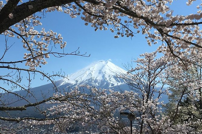 Private Car Tour to Mt. Fuji Lake Kawaguchiko or Hakone - Rural Japan at Saiko Iyashi no Sato Nemba