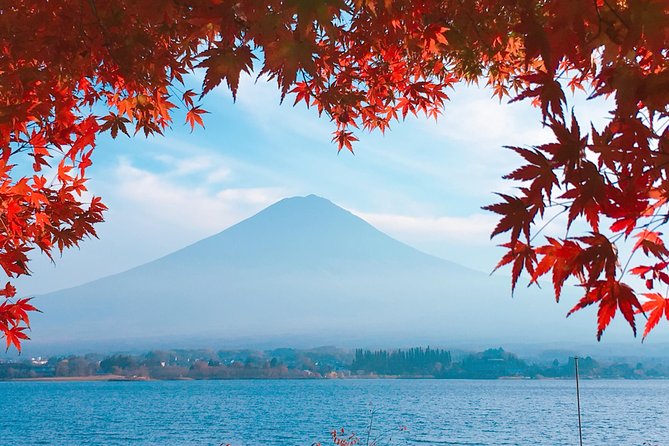 Private Car Tour to Mt. Fuji Lake Kawaguchiko or Hakone - Oshino Hakkai, ninjas, and local sake