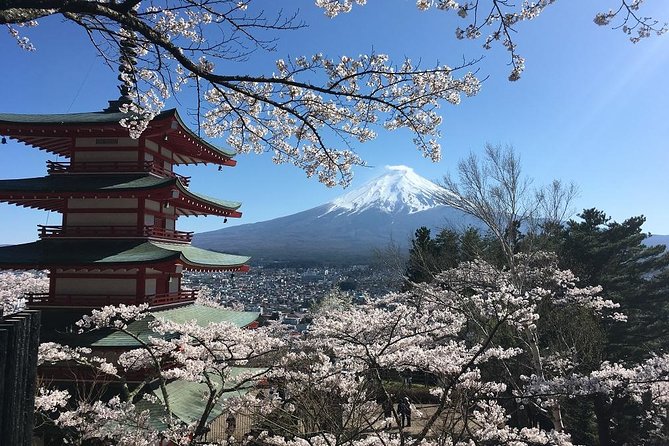 Private Car Tour to Mt. Fuji Lake Kawaguchiko or Hakone - The Fifth Station, with important seasonal limits