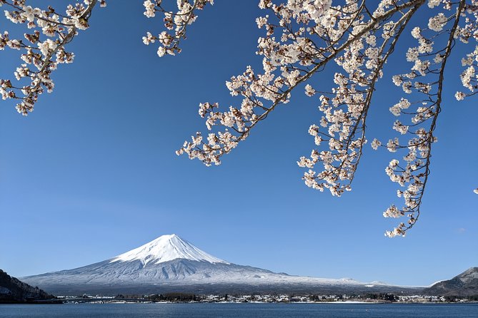 Private Car Tour to Mt. Fuji Lake Kawaguchiko or Hakone - Learning about Fuji before meeting it in person
