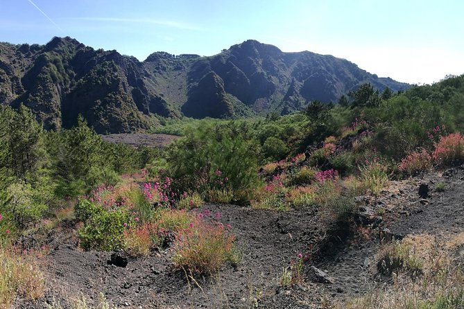 Private Day Tour to Vesuvius, Herculaneum & Pompeii with Pick Up - The climb to Vesuvius
