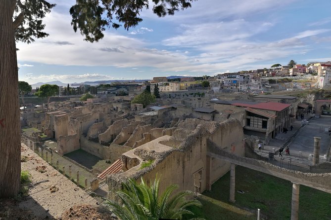 Private Day Tour to Vesuvius, Herculaneum & Pompeii with Pick Up - Shops, houses, and baths in Pompeii