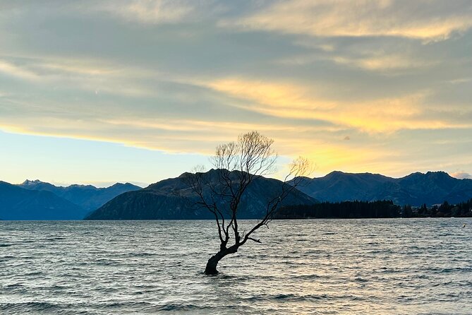 Private Driver Hire – Full-Day Touring-Auckland/Rotorua/Hamilton - Your Own Road Trip Through New Zealand