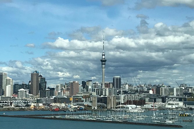 Private Full-Day Rotorua Tour from Auckland - Skyline Rotorua and the cost of adding it