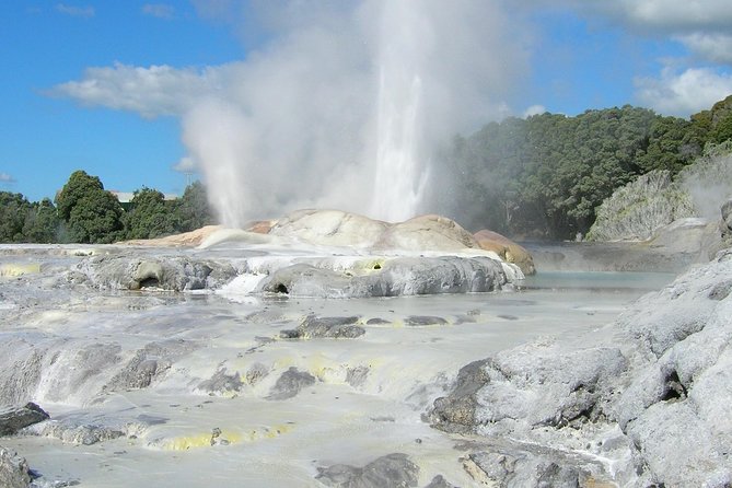 Private Full-Day Rotorua Tour from Auckland - The long road south from Auckland