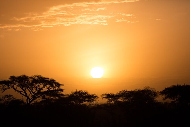 Private Group Serengeti Safari, Crater & Tarangire National Park - Guides can shape the entire experience