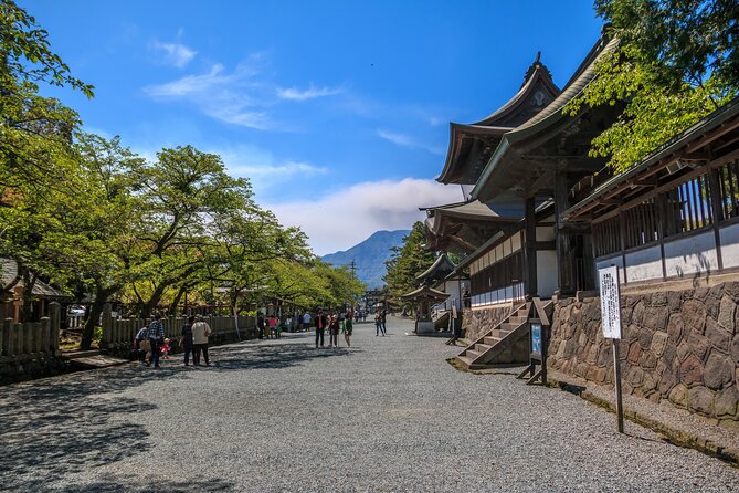Private guided tour: Mt. Aso volcano, grasslands, Aso Shrine - Why this half-day Aso tour works