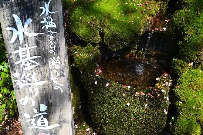 Private guided tour: Mt. Aso volcano, grasslands, Aso Shrine - Monzenmachi and the Akaushi lunch