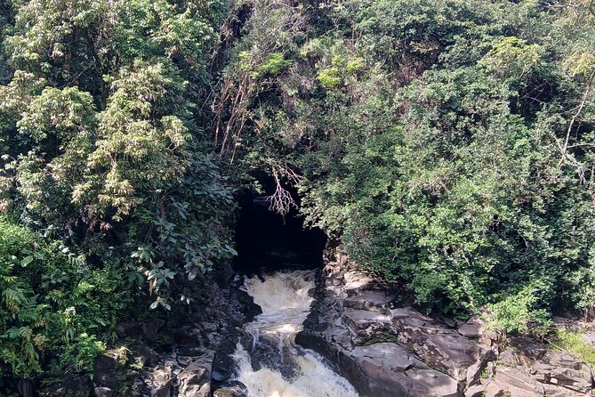 Private Hilo Shore Excursion Volcano National Park up to 10 - What the private format changes
