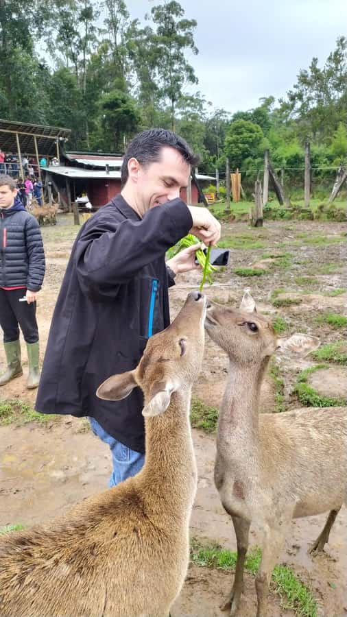 Private: Kawah Putih,Volcano,HotSpring,Mud Bathing,Lake Tour - Deer at Rancaupas, with a possible hot spring swap