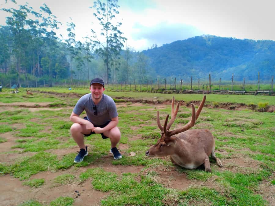 Private: Kawah Putih,Volcano,HotSpring,Mud Bathing,Lake Tour - A strawberry farm finishes the countryside loop
