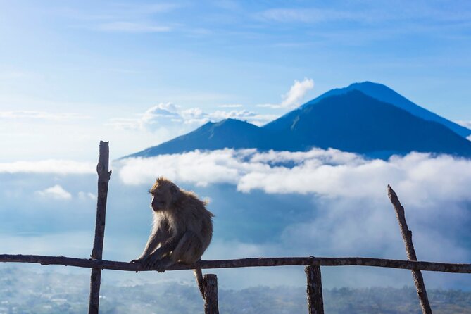 Private Mount Batur Sunrise Trekking Tour - Is $39 good value?