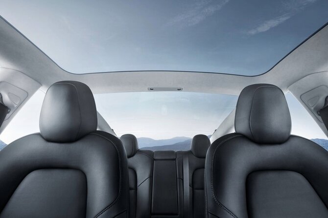 Private Tesla Transfer: Auckland, Tauranga, Rotorua, Taupo - A quiet way to cross the North Island