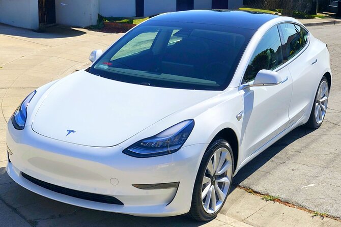 Private Tesla Transfer: Auckland, Tauranga, Rotorua, Taupo - What the $299 group price really means