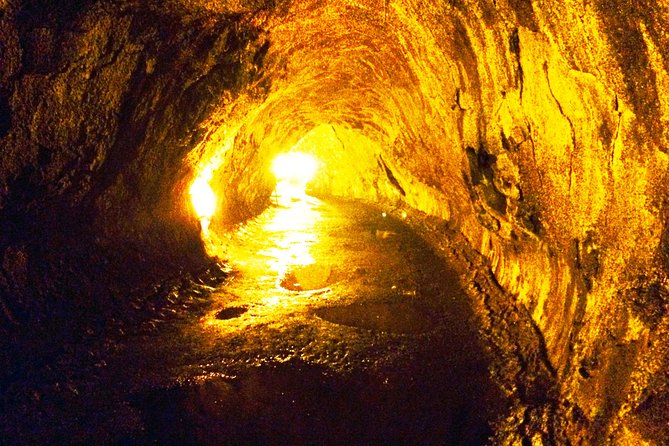Private Tour: Hawaii Volcanoes National Park Eco Tour - Chain of Craters Road and the coast
