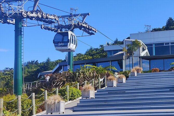 Private Tour: Hobbiton Movie Set, Rotorua Mud Pool & Treewalk - Why the private vehicle changes the day