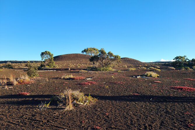 Private Tour of Hawaii Volcanoes National Park - What the tour does not include