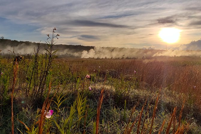 Private Tour of Hawaii Volcanoes National Park - Is $625 a fair price?