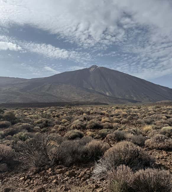 Private tour Tenerife: Teide National Park + Restaurant - Roque de García, the first great view
