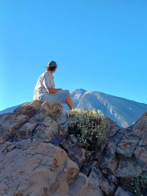Private tour Tenerife: Teide National Park + Restaurant - Two scenic stops and room for photos