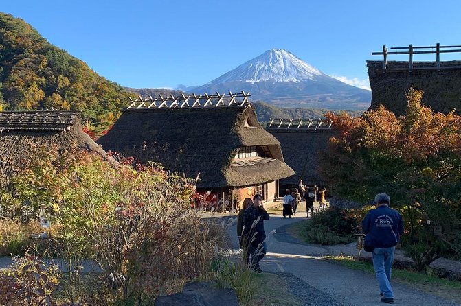 Private Tour to Mt. Fuji and Hakone (Fully Licenced Operator) - What this private Fuji tour does well