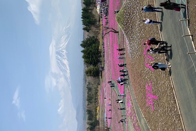 Private Tour to Mt. Fuji and Hakone (Fully Licenced Operator) - Lake Kawaguchi gives you the classic Fuji frame