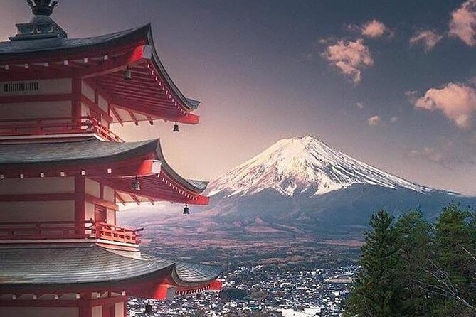 Private Tour to Mt. Fuji and Hakone (Fully Licenced Operator) - Shrines and the Chureito Pagoda require some walking
