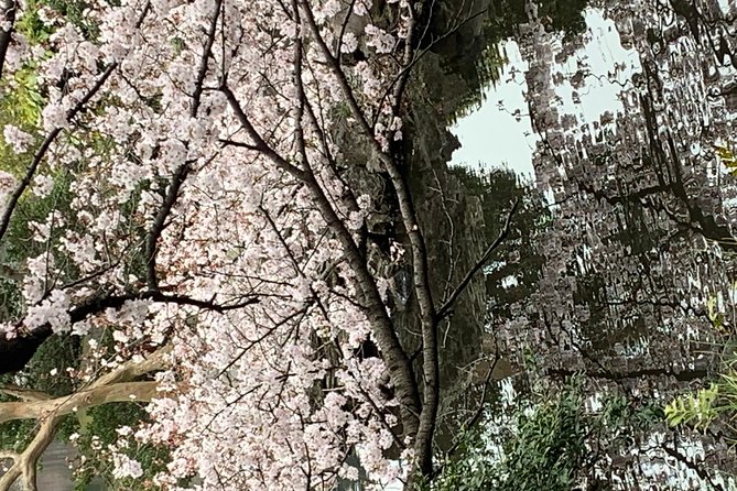 Private Tour to Mt. Fuji and Hakone (Fully Licenced Operator) - Hakone brings in Lake Ashi and Owakudani