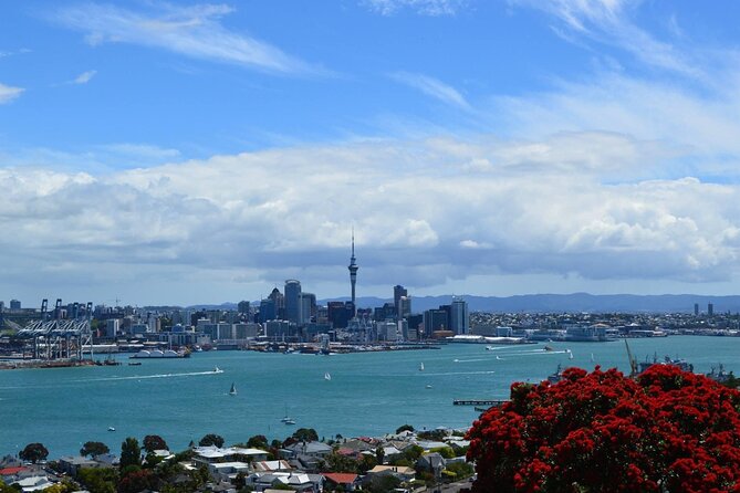 Private Transfer From Auckland Airport To Rotorua - Food, shopping, and family stops
