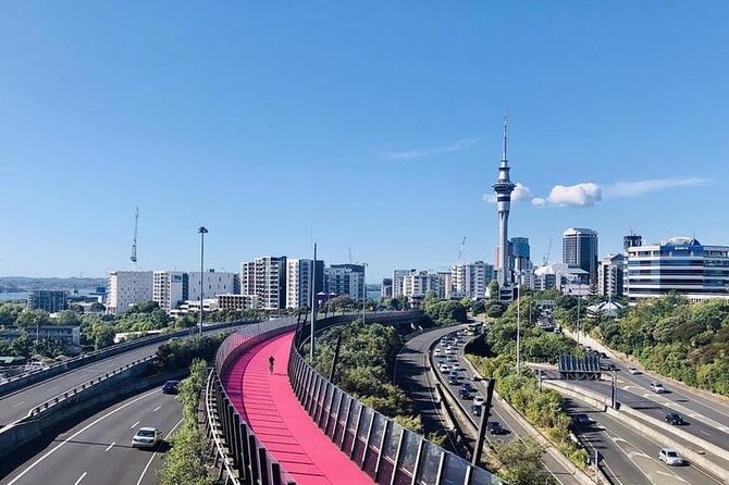 Private Transfer From Auckland Airport To Rotorua - How much value do you get for $372.34?