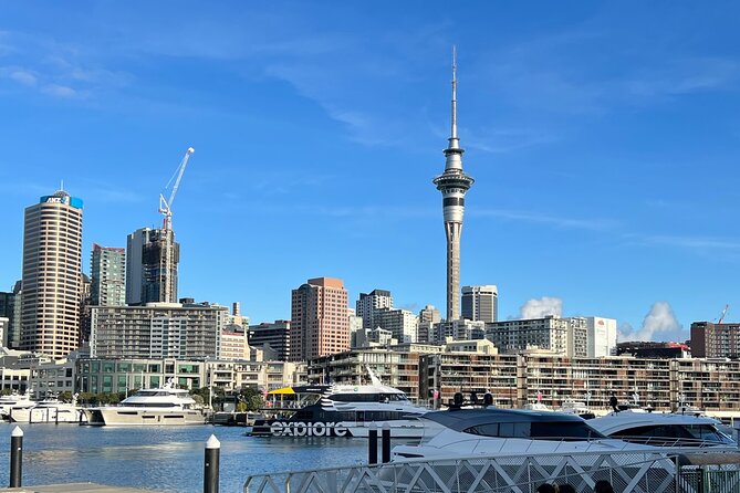 Private Transfer From Auckland Airport To Rotorua - Sanjeev’s role in the journey
