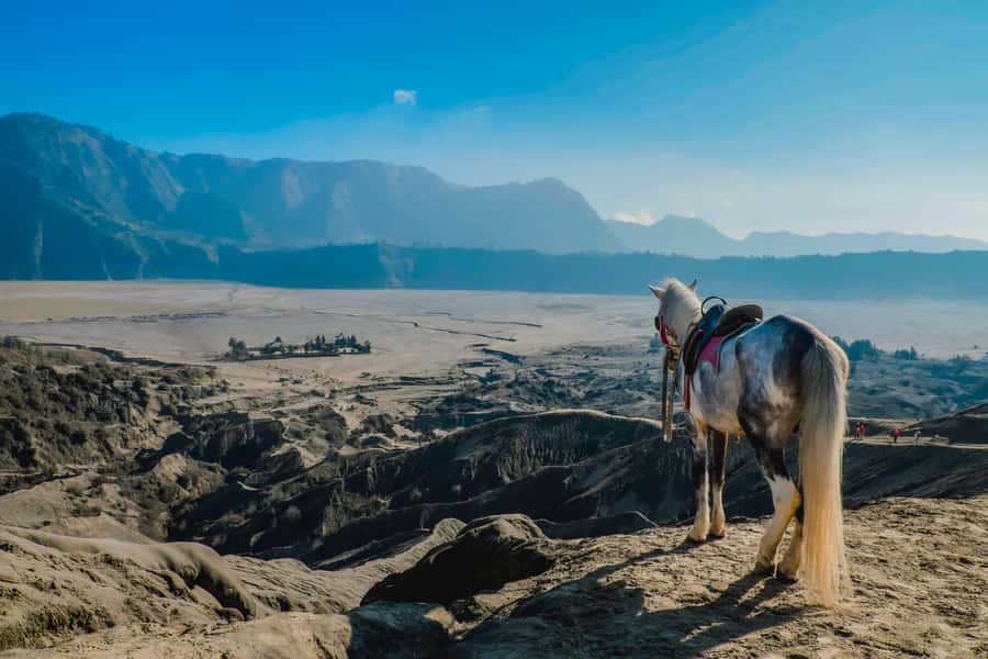 Probolinggo: Dawn Journey to Mount Ijen Sunrise Expedition - Walking to the Mount Bromo crater