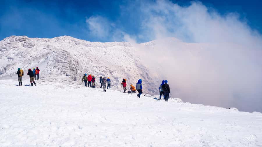 Pucón: Ascent to Villarrica Volcano - The $185 price and what you receive
