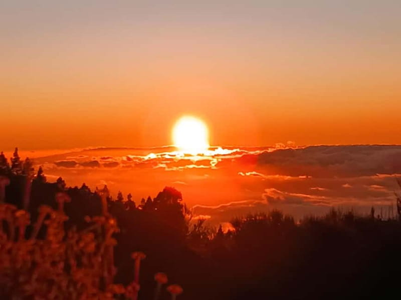 Puerto Cruz: VIP Teide Sunset & Stars, Guachiche Lunch+Cava - Coffee and Canarian specialties at El Portillo
