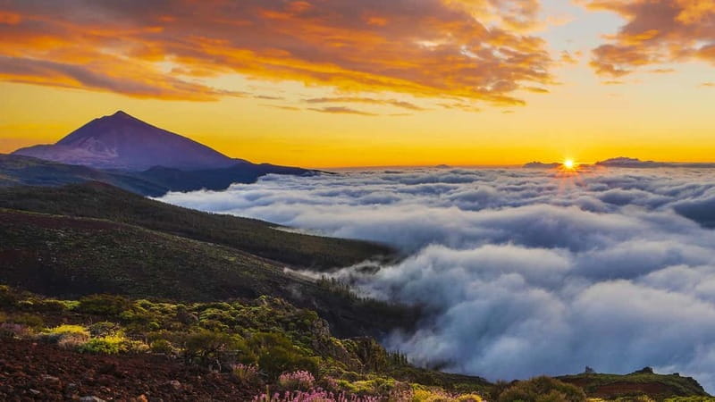 Puerto Cruz: VIP Teide Sunset & Stars, Guachiche Lunch+Cava - Stargazing under the Teide sky