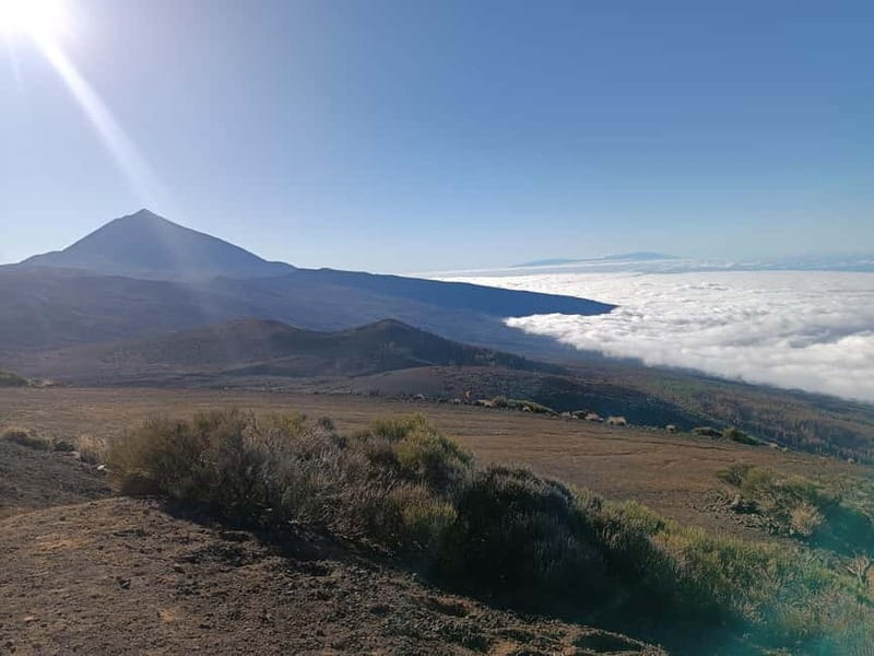 Puerto Cruz: VIP Teide Sunset & Stars, Guachiche Lunch+Cava - Timing, pickup, and practical comfort