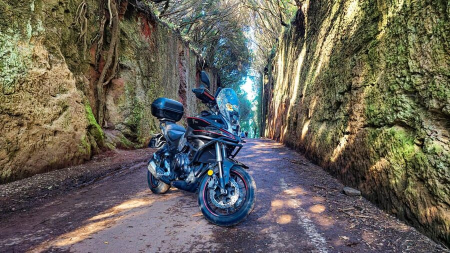 Puerto de la Cruz Motorbike tour through Teide National Park - From Puerto de la Cruz into volcanic Tenerife