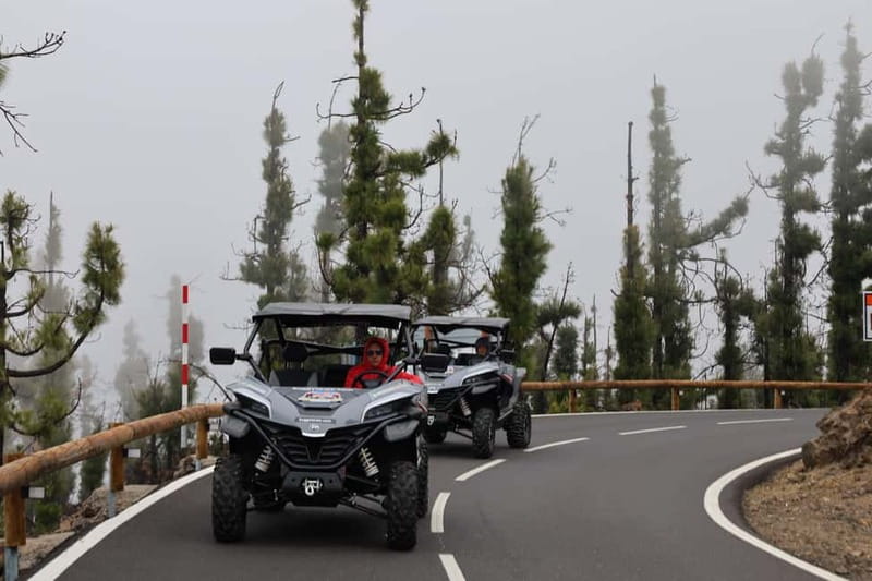 Puerto de la Cruz: Teide National Park Buggy Tour - From Puerto de la Cruz to Teide’s high country