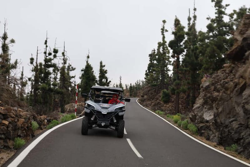 Puerto de la Cruz: Teide National Park Buggy Tour - What the driving actually feels like