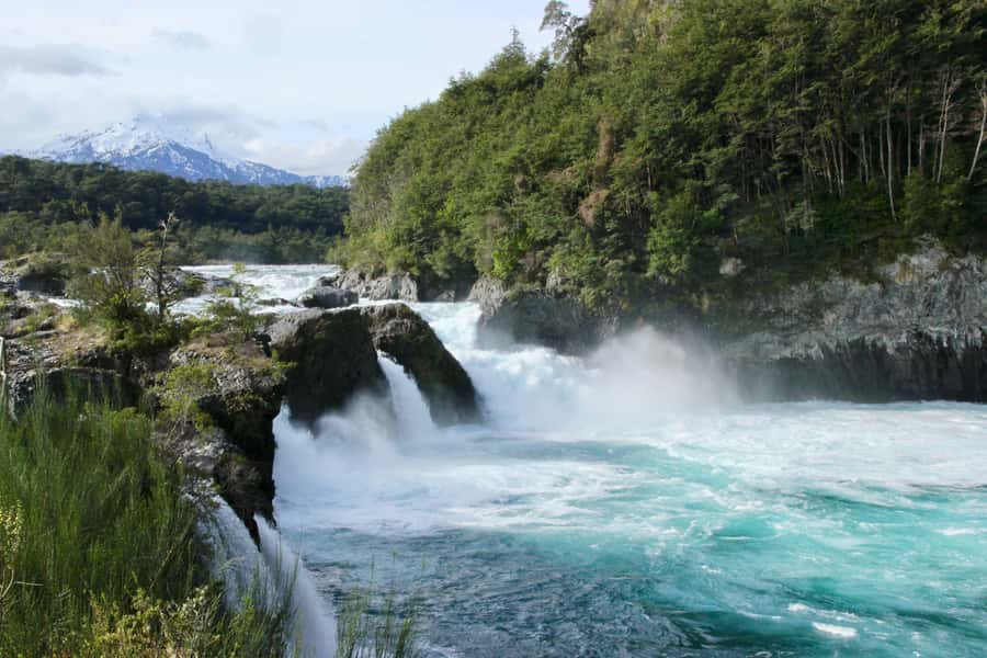 Puerto Varas: Osorno Volcano, Petrohue Falls Full-day Trip - Down to Petrohué and the national park